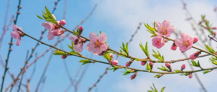 6個(gè)步驟教你有效應(yīng)對(duì)內(nèi)心焦慮和恐懼情緒