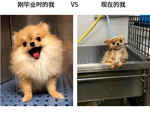過(guò)上想要的生活后才發(fā)現(xiàn)優(yōu)秀并不重要
