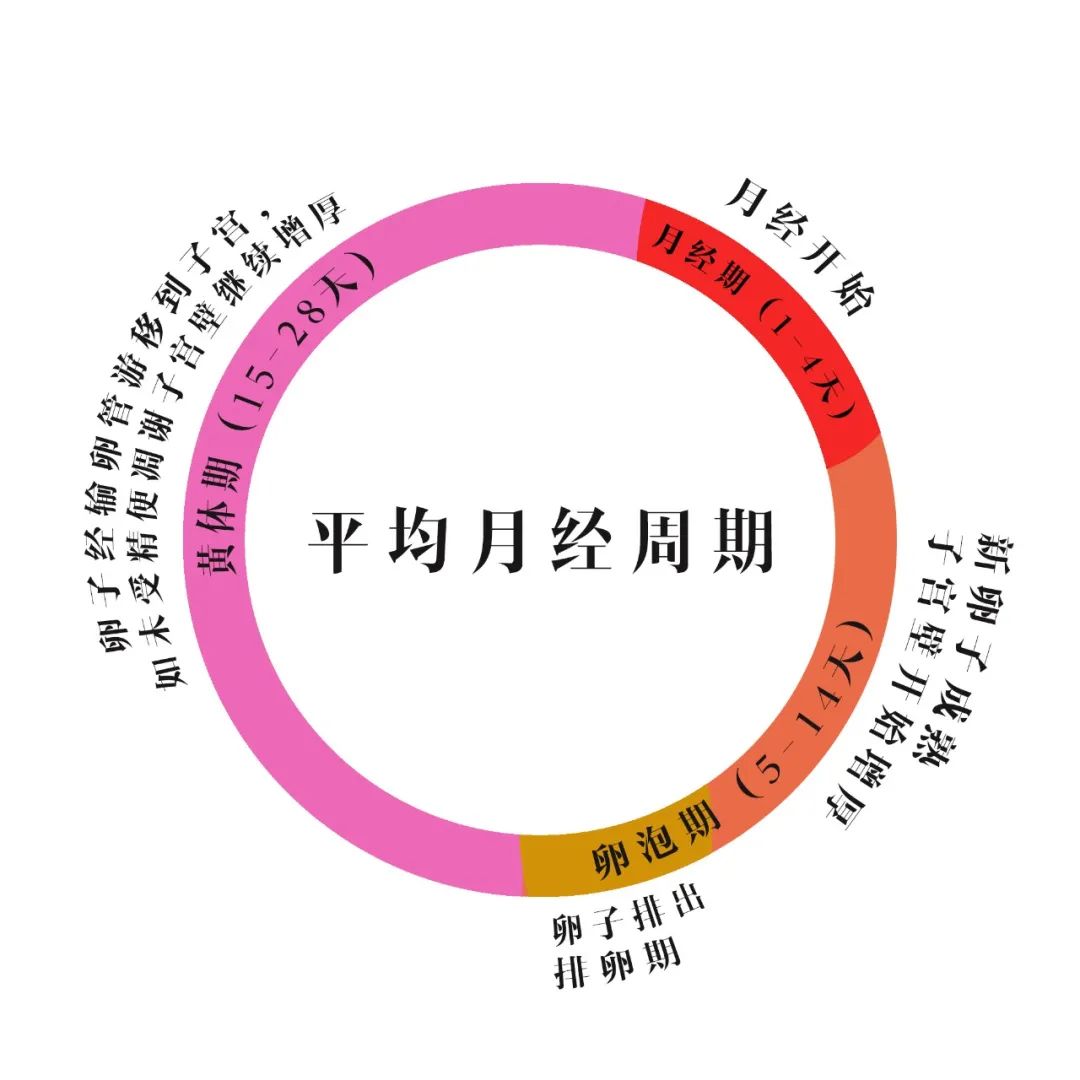 消費(fèi)行為可能與月經(jīng)周期相關(guān)