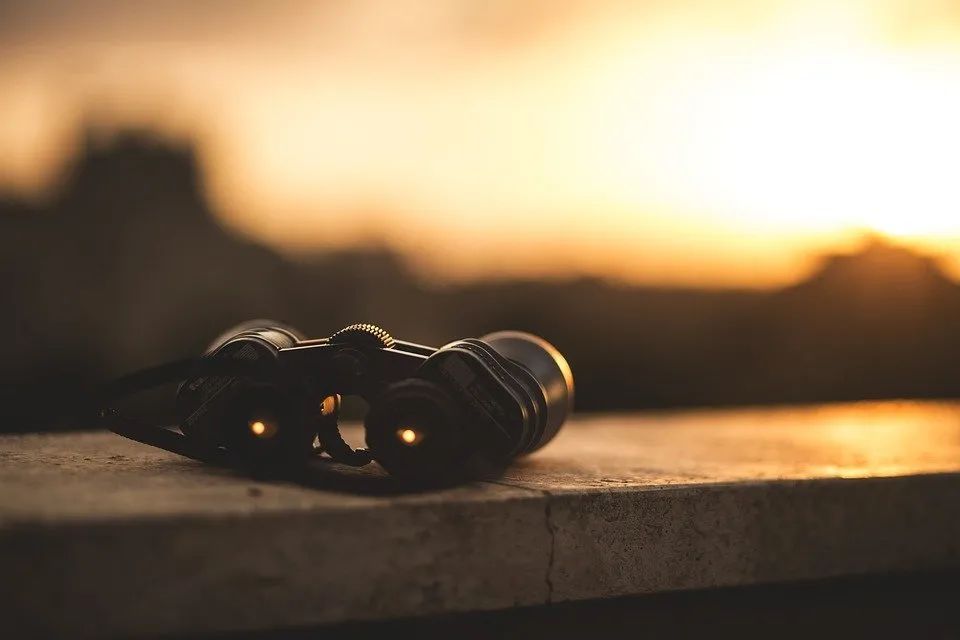 林生斌事件激活了我們的哪些原型意象