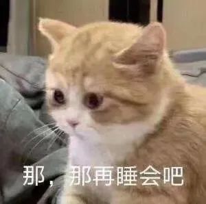 夜貓子自救指南：早睡1小時，抑郁風(fēng)險減低23%