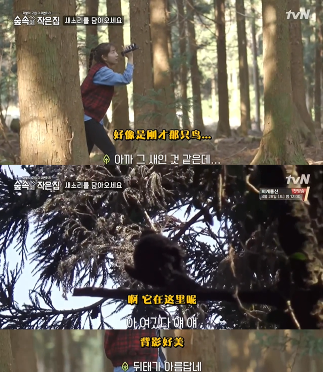 人為什么害怕孤獨(dú)、又該如何緩解孤獨(dú)？