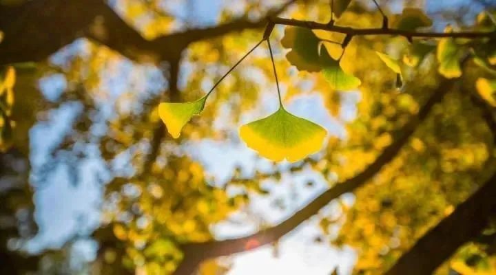別讓過(guò)度焦慮毀了你的人生