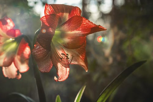 蘇芒被嘲，舒淇認(rèn)慫，宋丹丹道歉：像極了孤立無援的我
