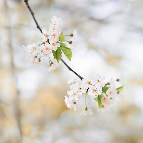 朋友，為什么不聯(lián)系就會(huì)疏遠(yuǎn)？