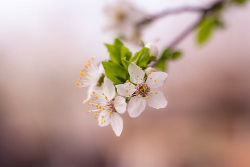 結婚后的情人節(jié)是否可以浪漫依然
