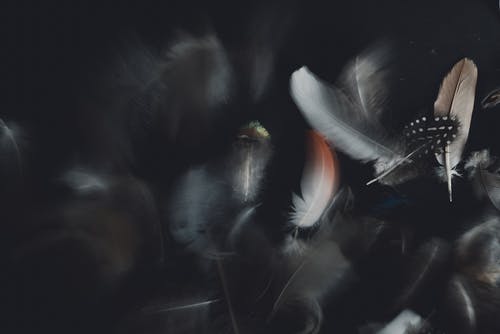 不安思維：如何毀掉自己的創(chuàng)造力和快樂源泉？
