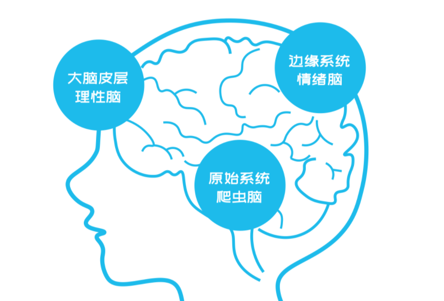 情緒的內(nèi)耗，才是你人生低效的最大根源