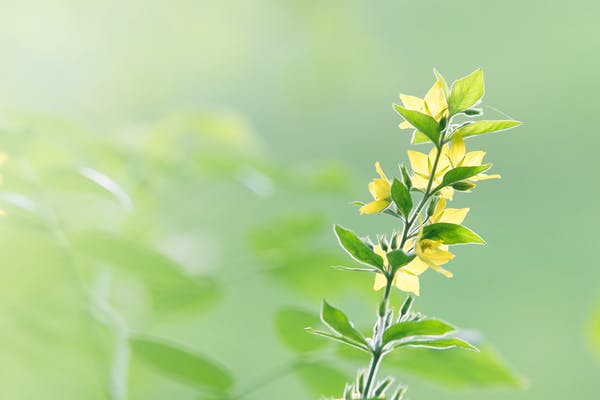 如何通過做計劃減少情緒內(nèi)耗？