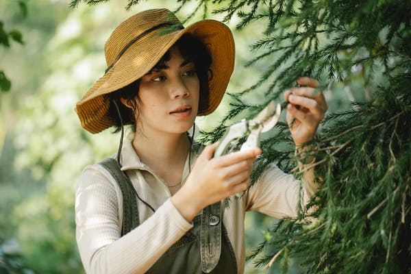 親子關(guān)系中最大的坑：「都是為你好」