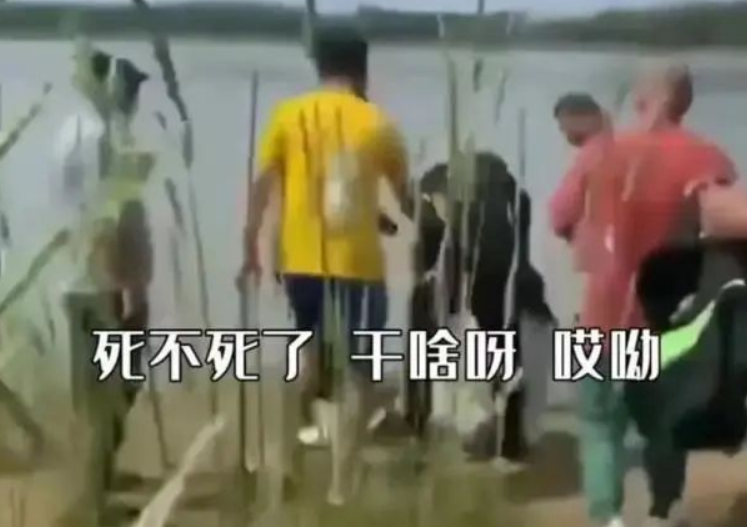 為什么中國父母總喜歡“打擊式教育”？