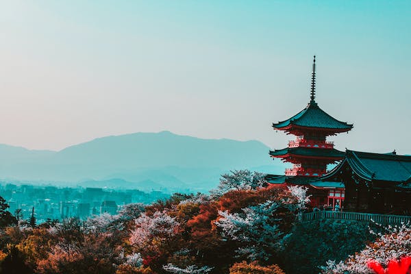 孤獨(dú)是的毒性，好比每天抽15支煙。