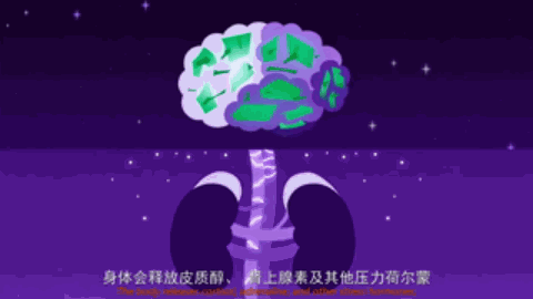 安睡指南丨睡個好覺，或許沒有那么難