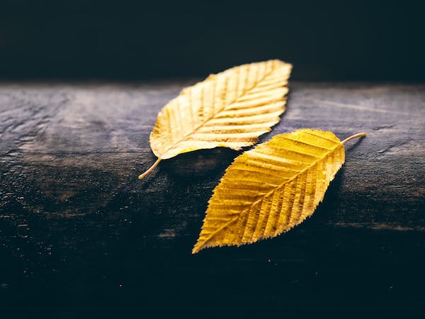 如何避免“優(yōu)柔寡斷”帶來的精神內(nèi)耗？