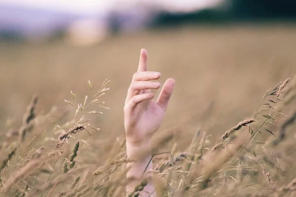 努力是如何毀掉一個(gè)人？探索勤勉型抑郁癥