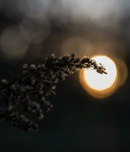 從挫折中崛起：如何將失敗轉(zhuǎn)化為成長的動(dòng)力