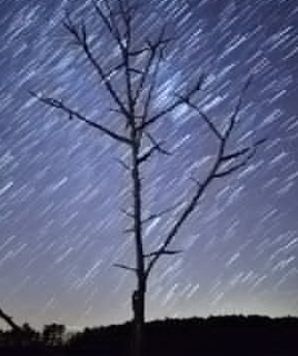 實現(xiàn)自律的方法及「高度自律」的感受是怎樣的?