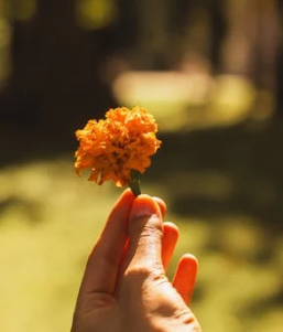 為什么越努力越焦慮？90%的人搞反了成長(zhǎng)順序