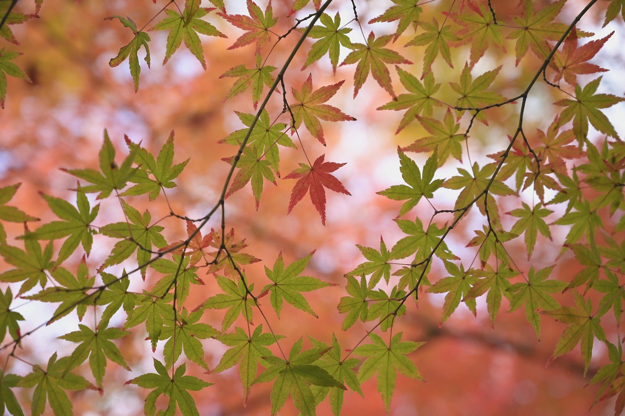9個(gè)信號(hào)表明：你們之間并不合適